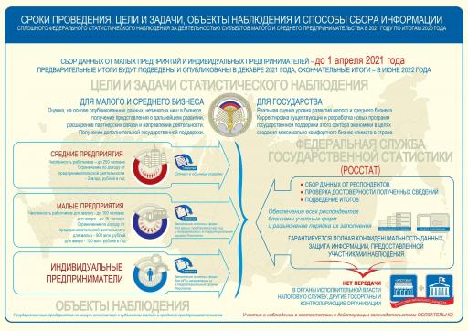 Инфографика МиСП 2020