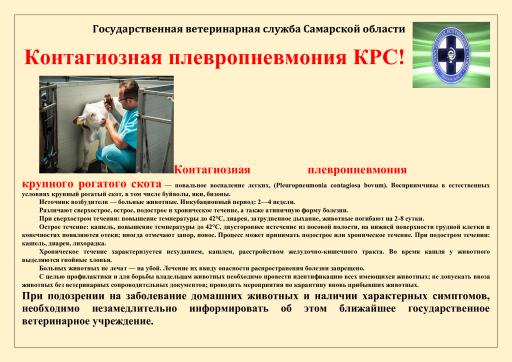 Контагиозная плевропневмония КРС памятка для населения