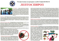 Памятка: Лептоспироз