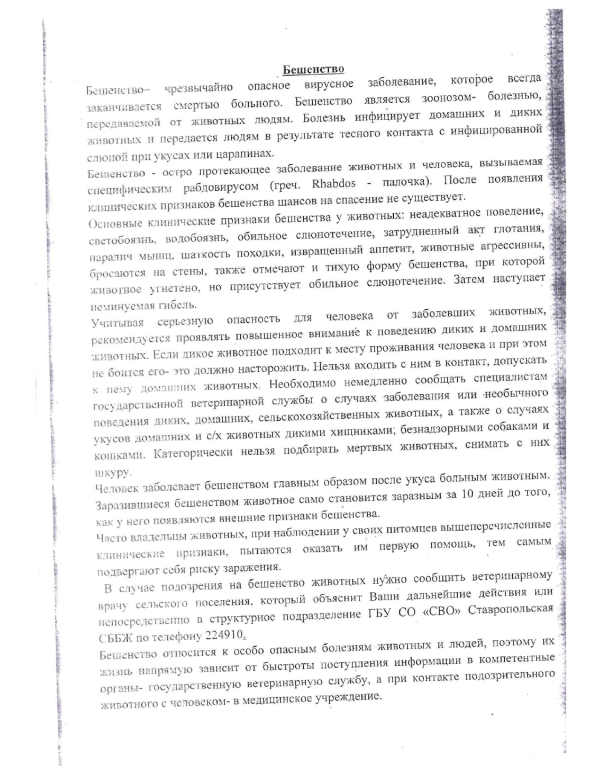 Памятка: профилактика бешенства