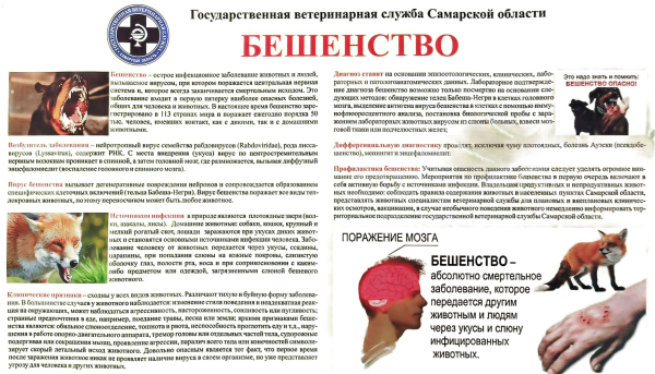 Памятка: Бешенство