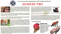 Памятка: Бешенство