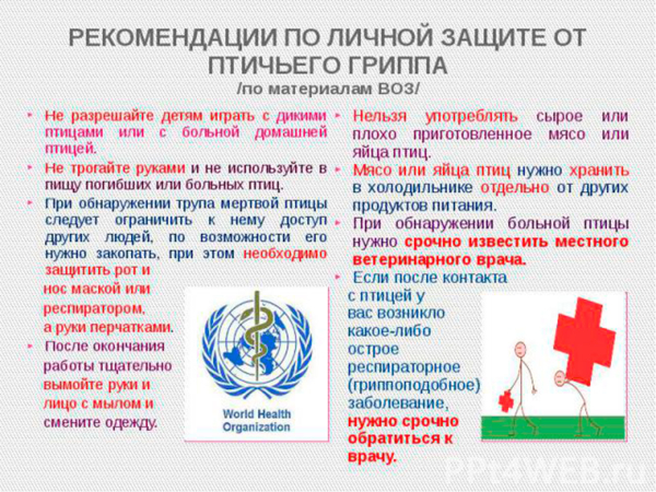 Птичий грипп