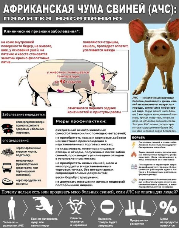 Вирусный гепатит Е (ВГЕ)
