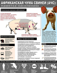 Вирусный гепатит Е (ВГЕ)