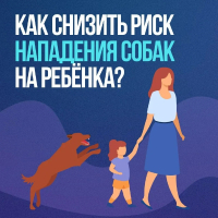 Рекомендации по безопасности детей и подростков при взаимодействии, встрече с бродячими собаками.