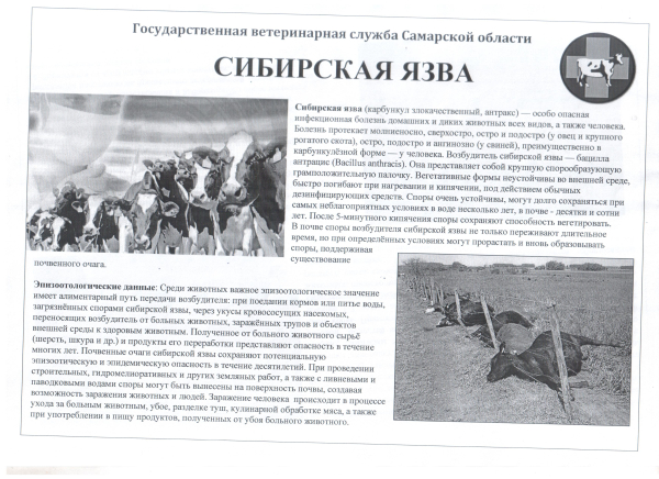 Сибирская язва