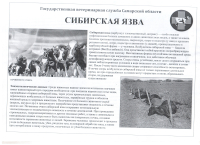 Сибирская язва