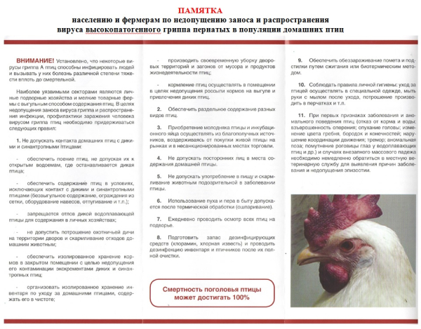 Птичий грипп