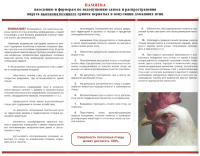 Птичий грипп