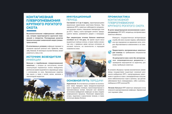 Контагиозная плевропневмония крупного рогатого скота