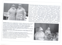 Сибирская язва