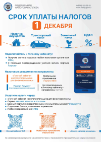 Срок уплаты налогов 1 декабря
